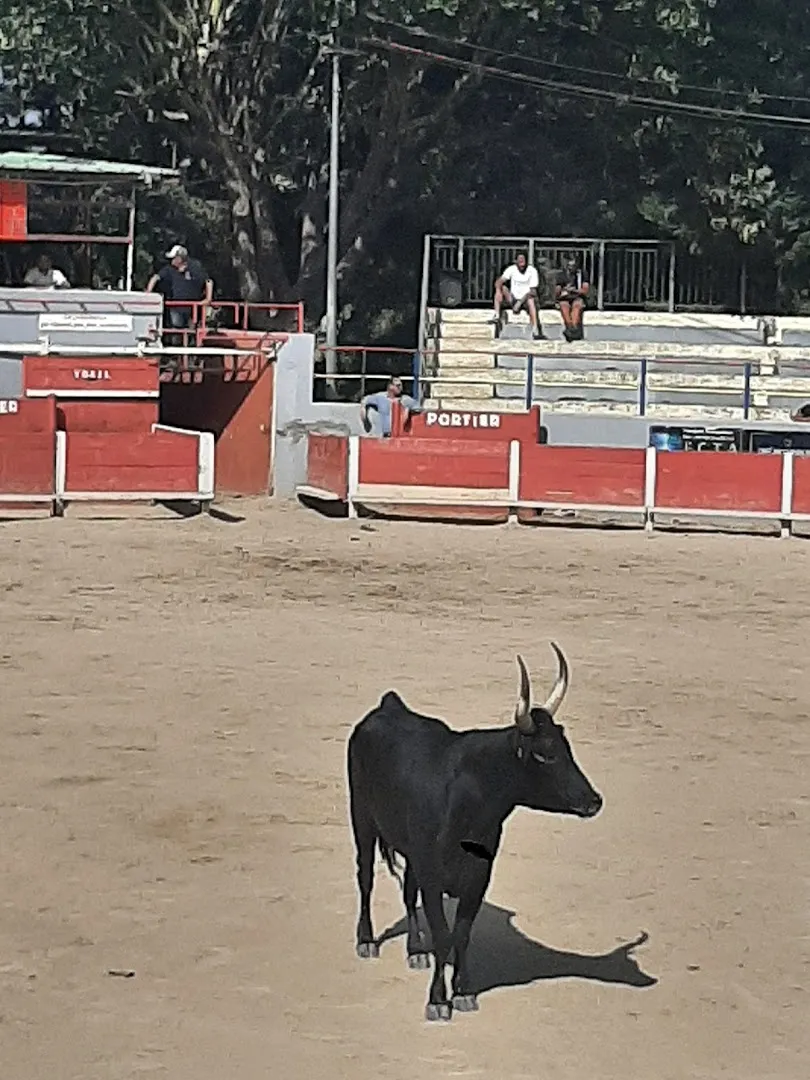 Arenes Municipales